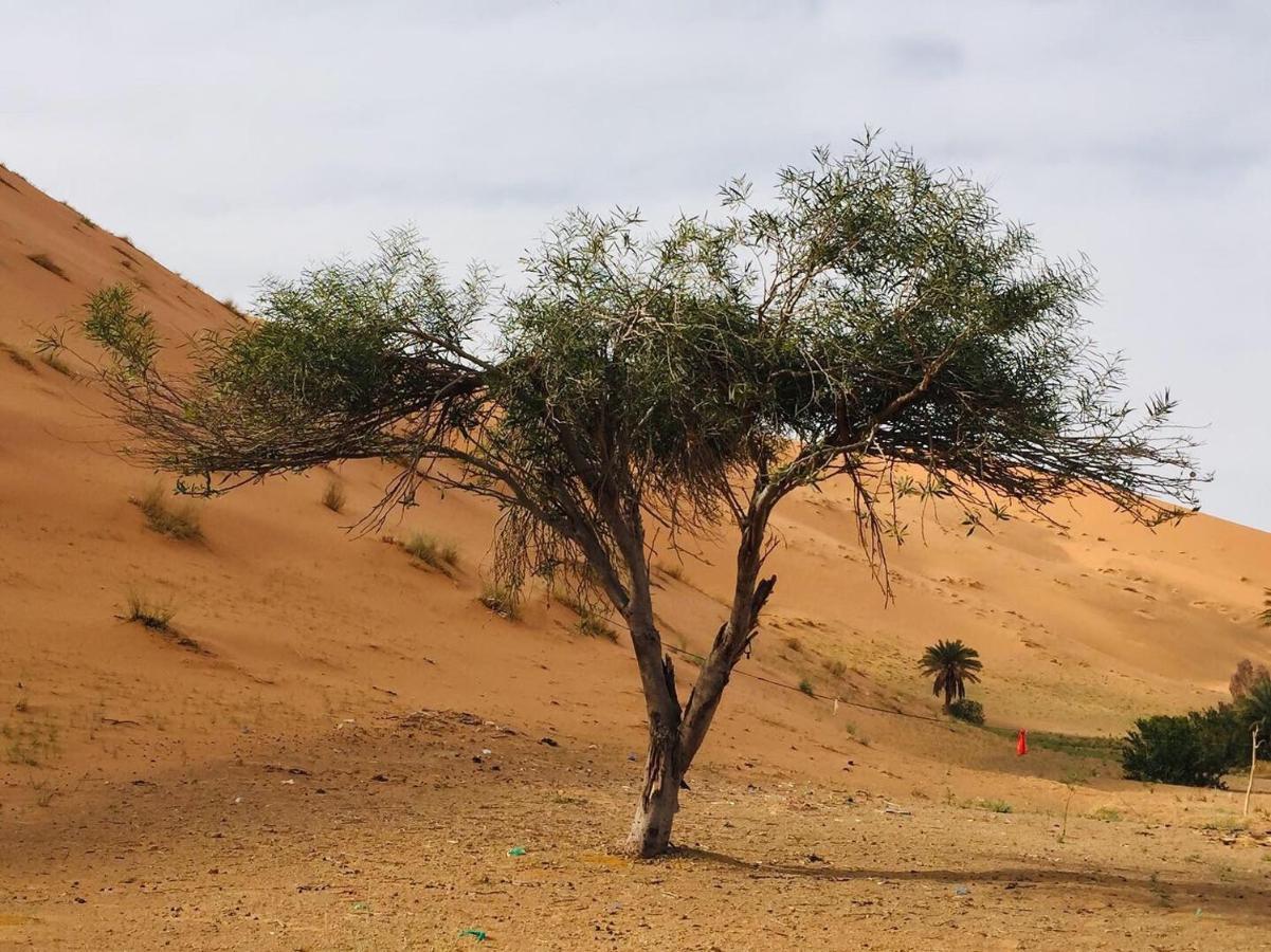 Desert Camel Trekking Camp Merzouga Exteriör bild