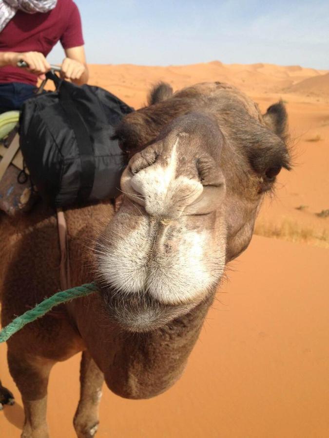 Desert Camel Trekking Camp Merzouga Exteriör bild