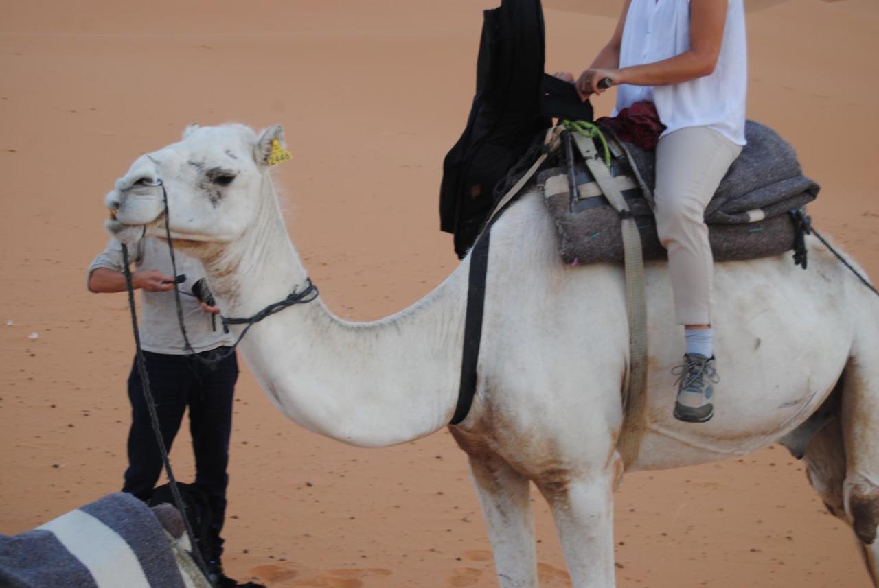 Desert Camel Trekking Camp Merzouga Exteriör bild