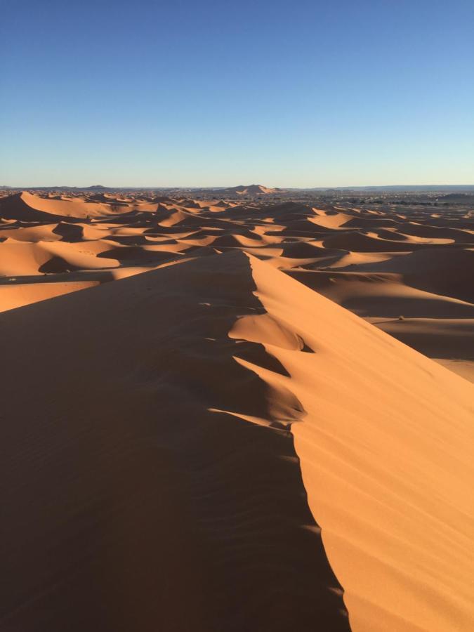 Desert Camel Trekking Camp Merzouga Exteriör bild